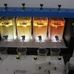 Environmental-Water Testing and Analysis
