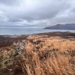 Photo of King Cove, AK