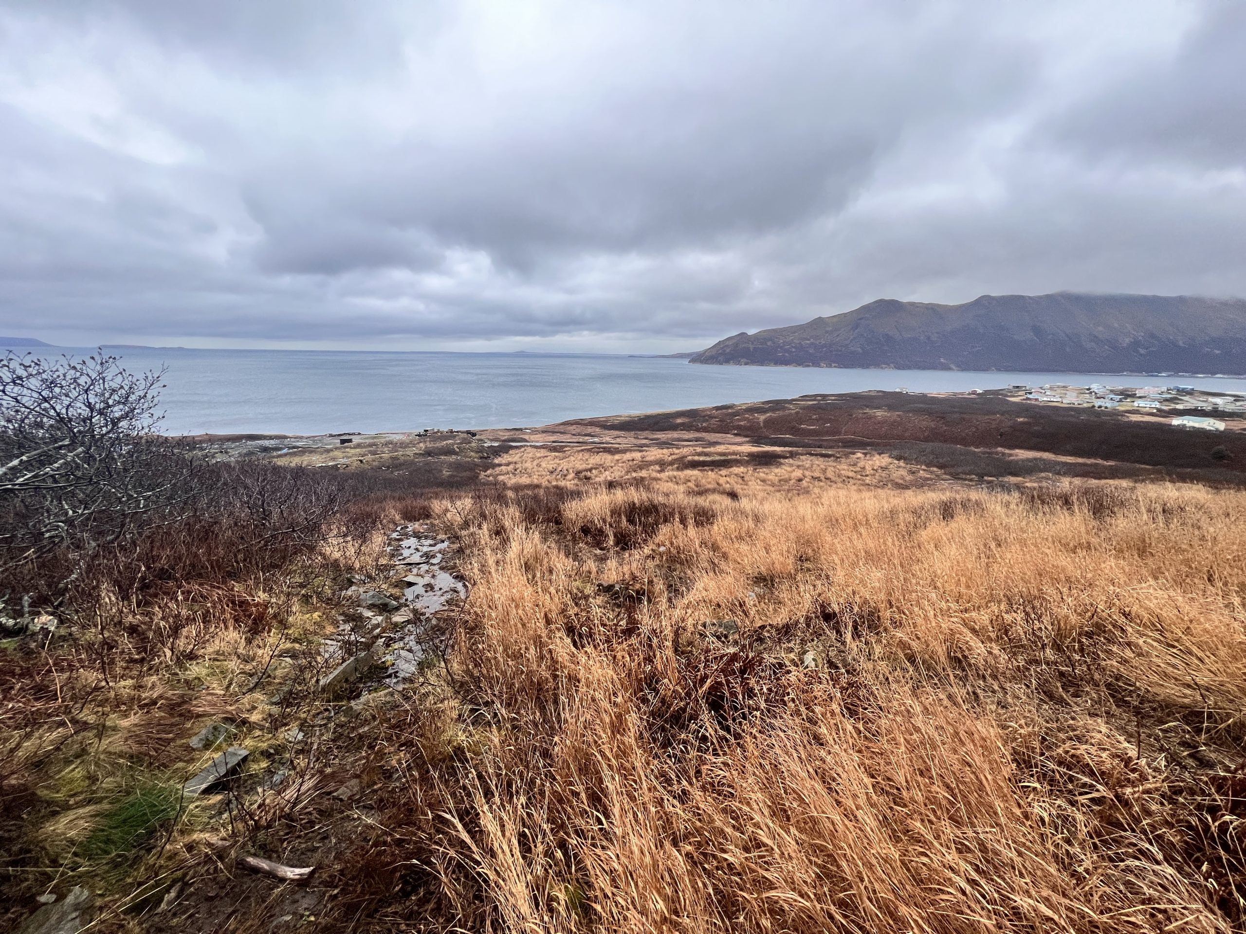 Photo of King Cove, AK